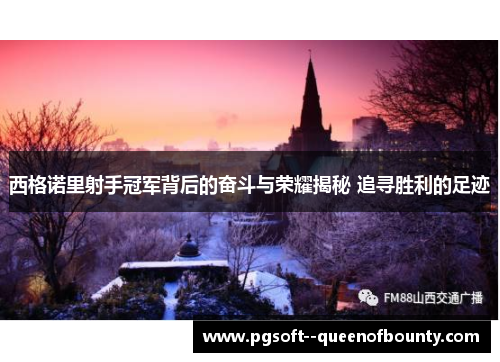 西格诺里射手冠军背后的奋斗与荣耀揭秘 追寻胜利的足迹